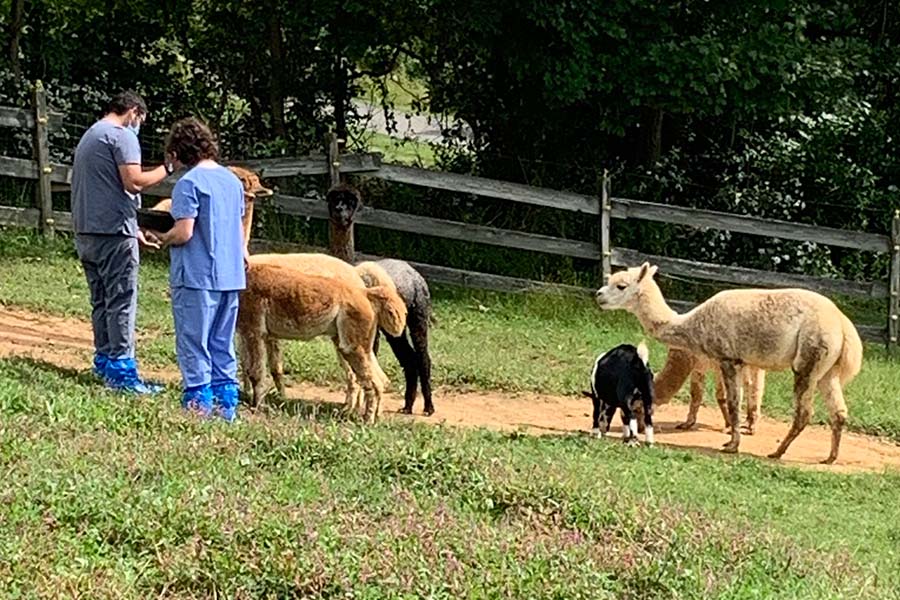Hunterdon County Vocational School District animal science students engage in hands-on learning with animals on campus.