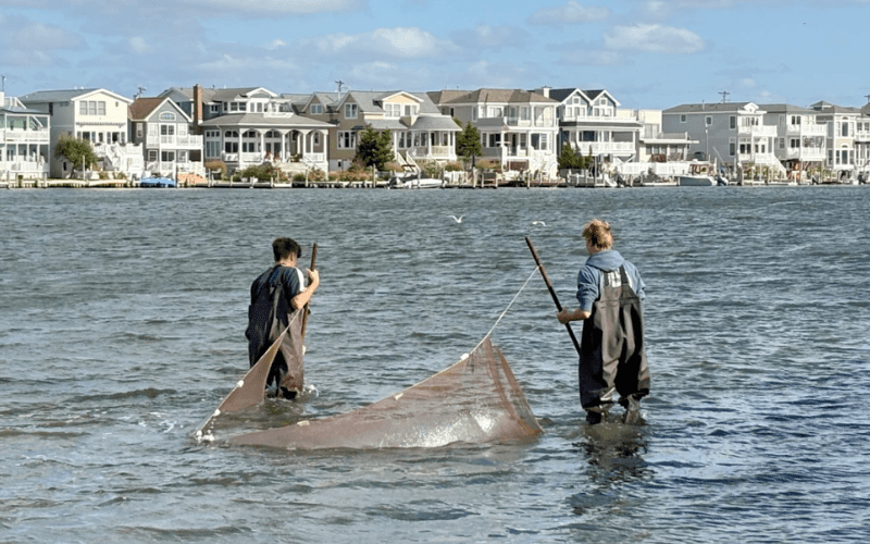 students using a refractometer to test the salinity of the water.  